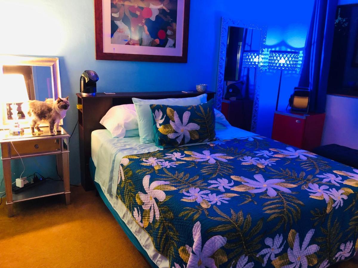 Kona Magic Honu Room Kailua-Kona Exterior photo